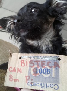Bisteca