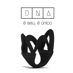 Anel Noiga